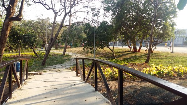 Este domingo inauguran obras de recuperación del Parque Jardín Botánico