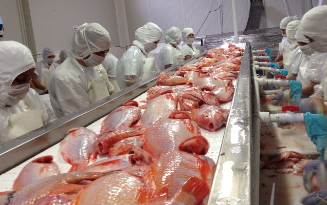 “No es cerrando el país y gravando más las importaciones como se logrará mayor competitividad en nuestra producción”