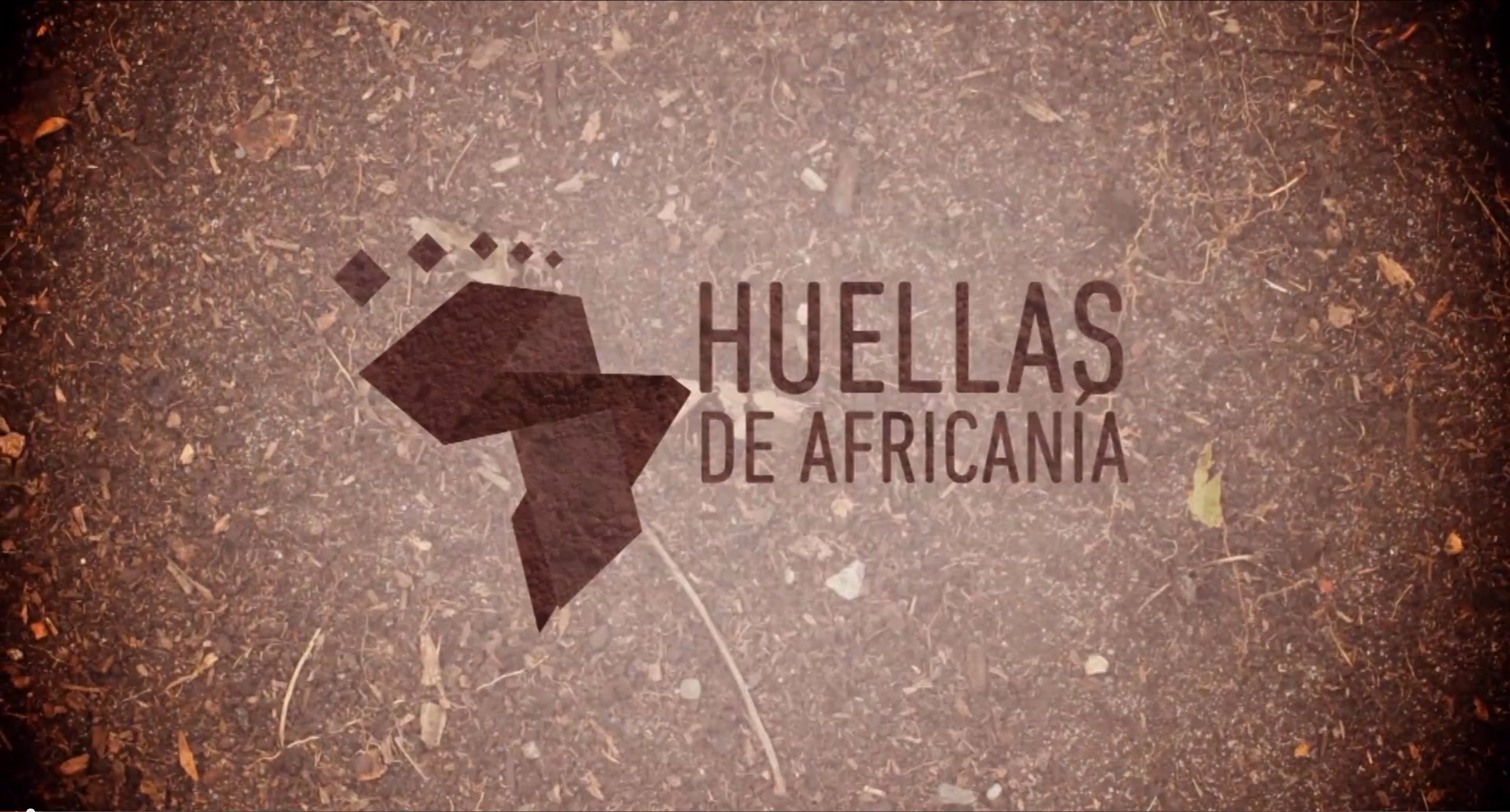 Polémica por denuncias de racismo y discriminación en Telecaribe