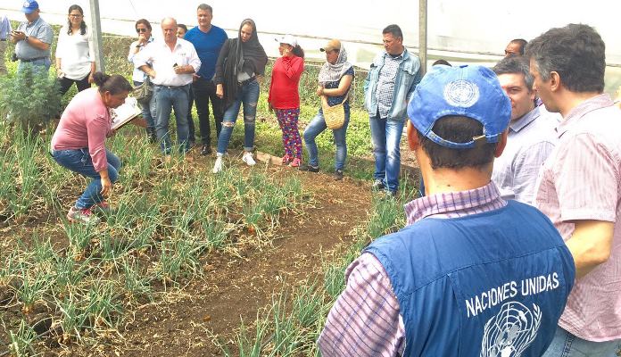 Atlántico impulsa emprendimientos familiares con buenas prácticas agrícolas