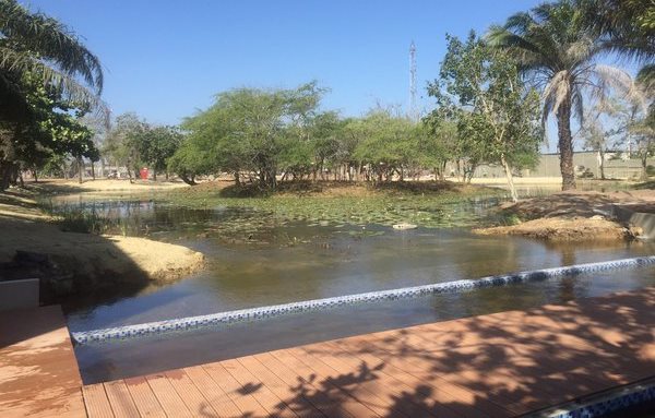 parque-muvdi-lago