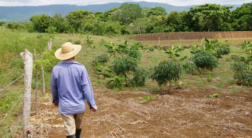 Agencia Nacional de Tierras entregará 860 títulos de propiedad rural en las próximas cuatro semanas