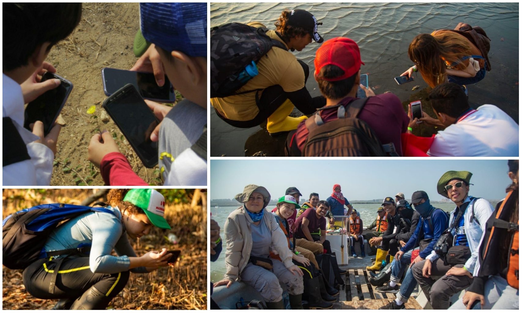 Se cumplió en Barranquilla el primer ‘BioBlitz 2020’, una experiencia de observación de los ecosistemas