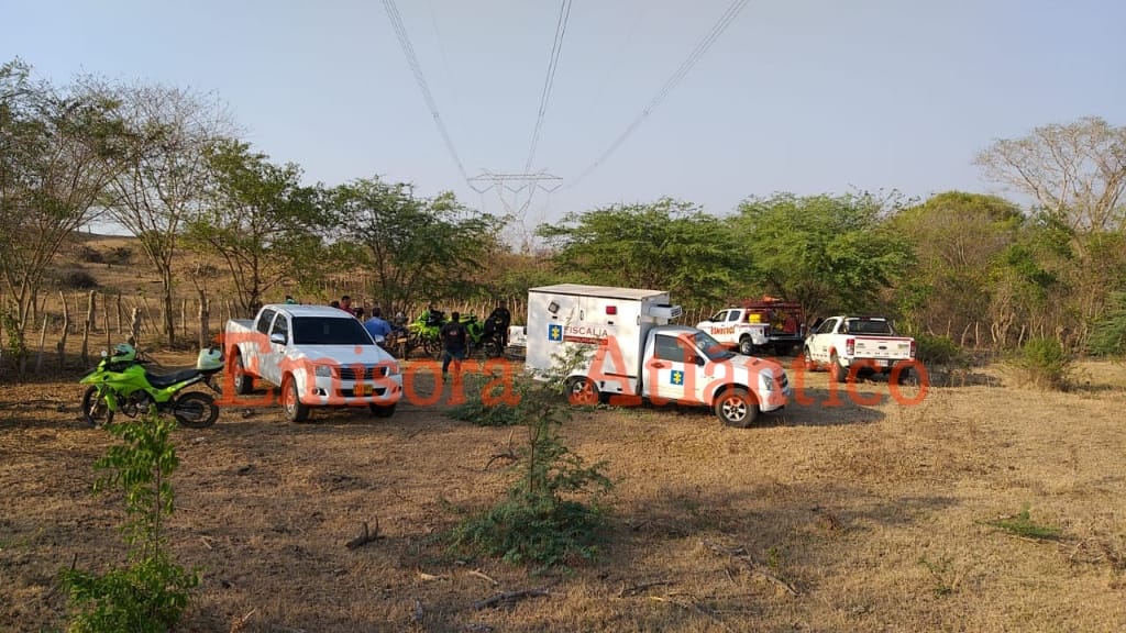 Fue difícil la localización de topógrafos tras ataque de abejas debido a que se encontraban internados en el monte: Policía