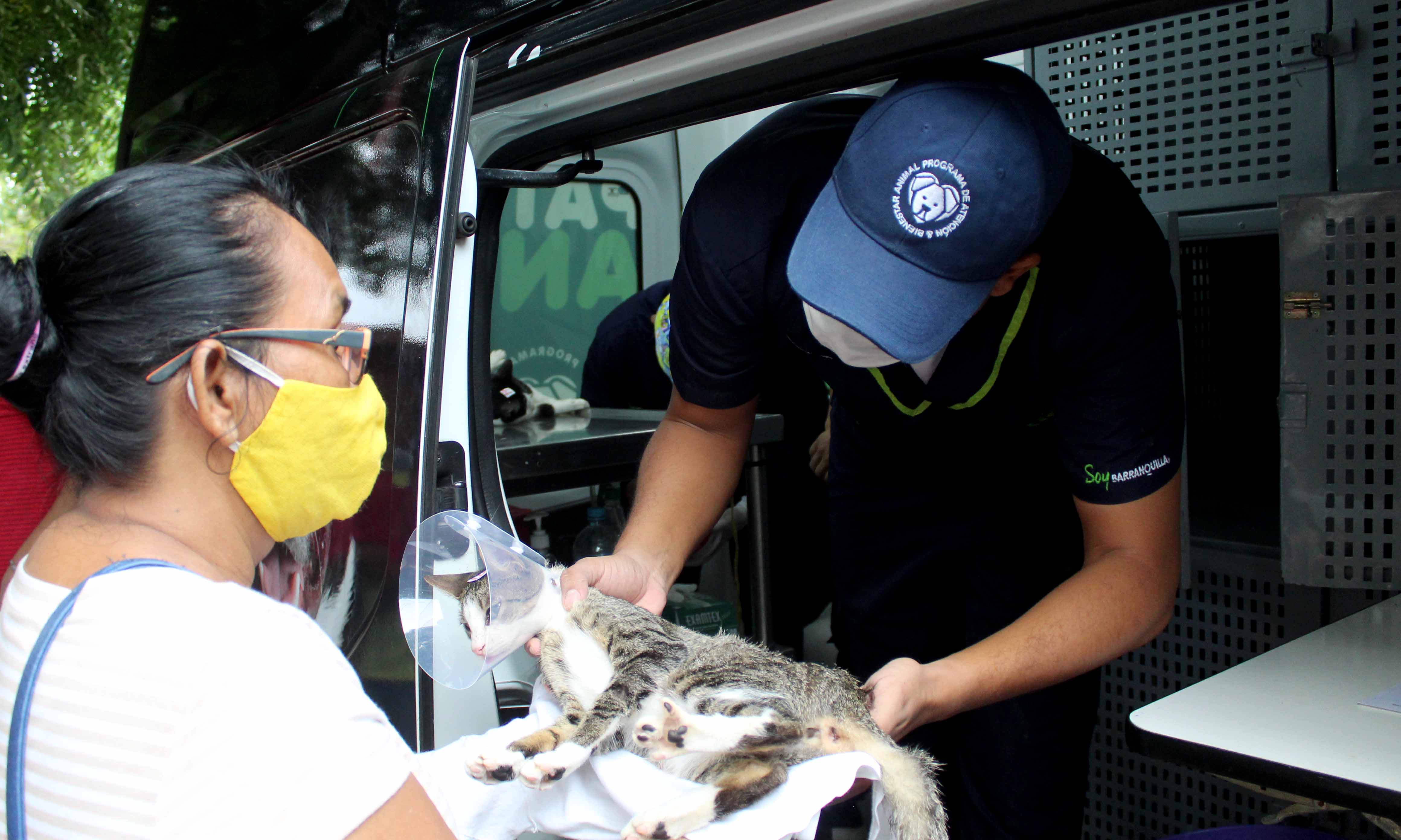 Distrito retoma jornadas de esterilización de caninos y felinos