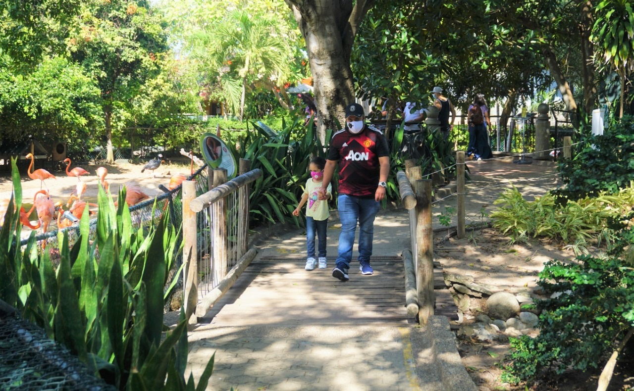 Zoológico de Barranquilla recibe importante acreditación internacional