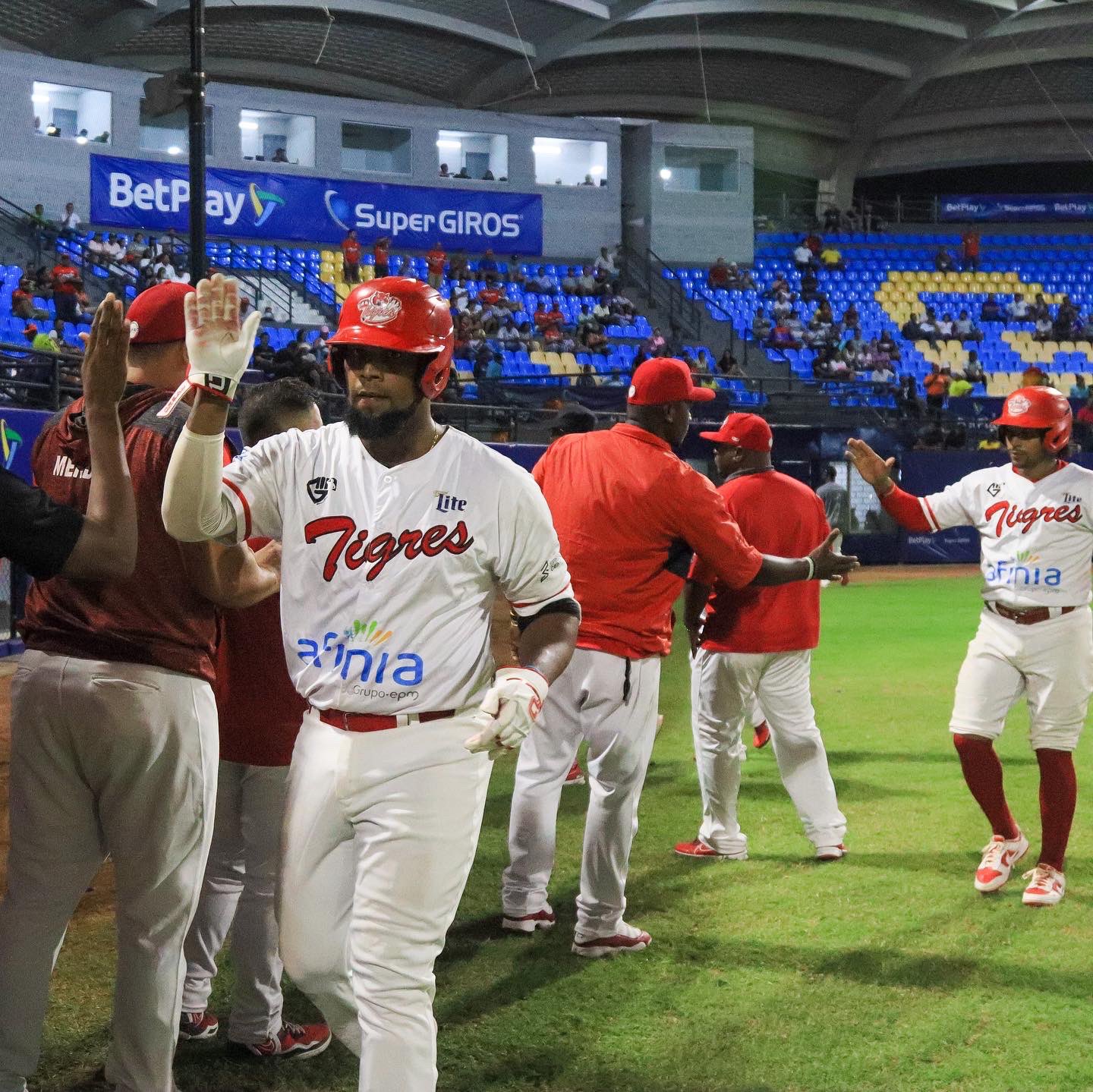 En 11 emotivas entradas: Caimanes perdió ante Tigres, en Cartagena