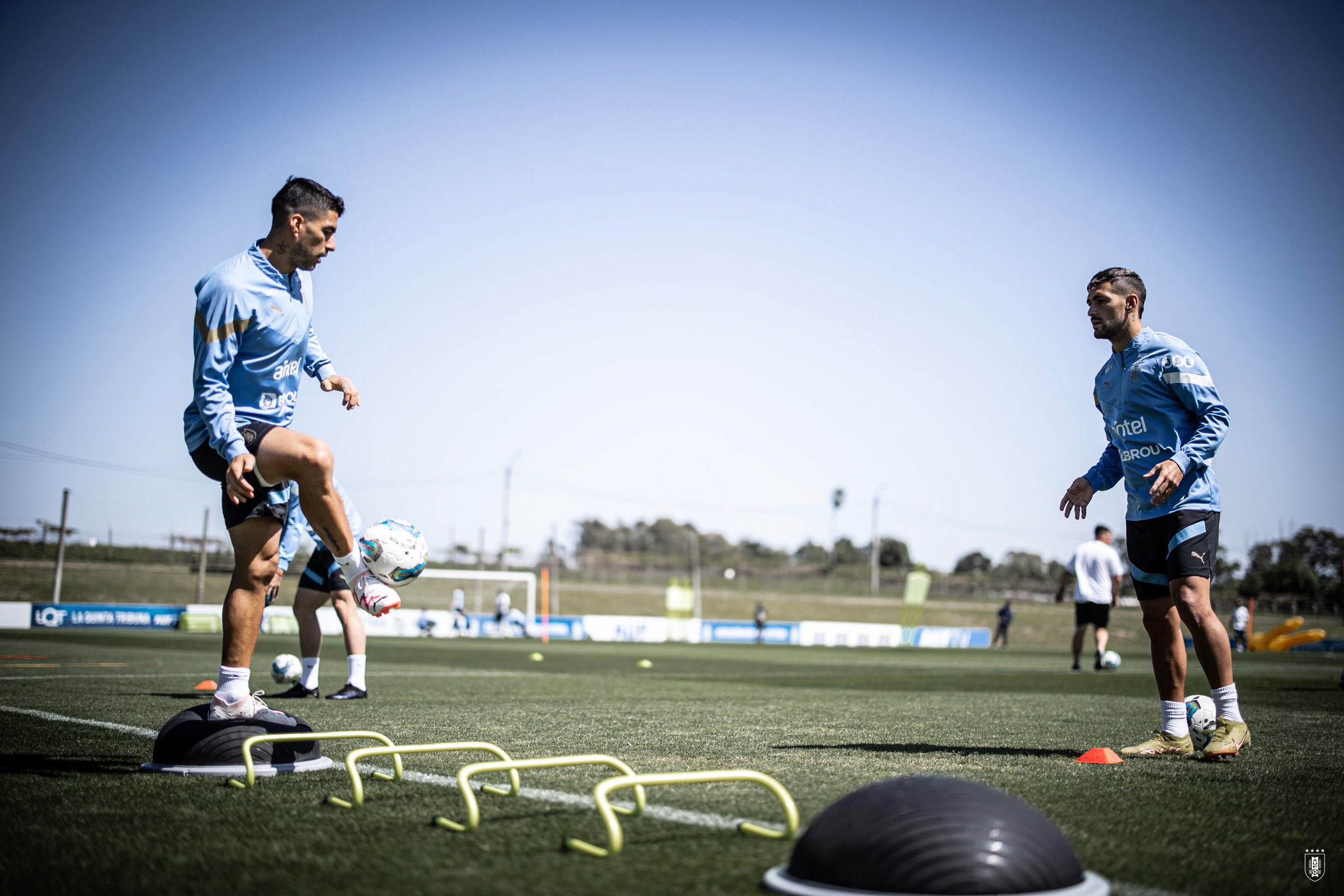 Uruguay recibe a Bolivia con la mira puesta en la cima