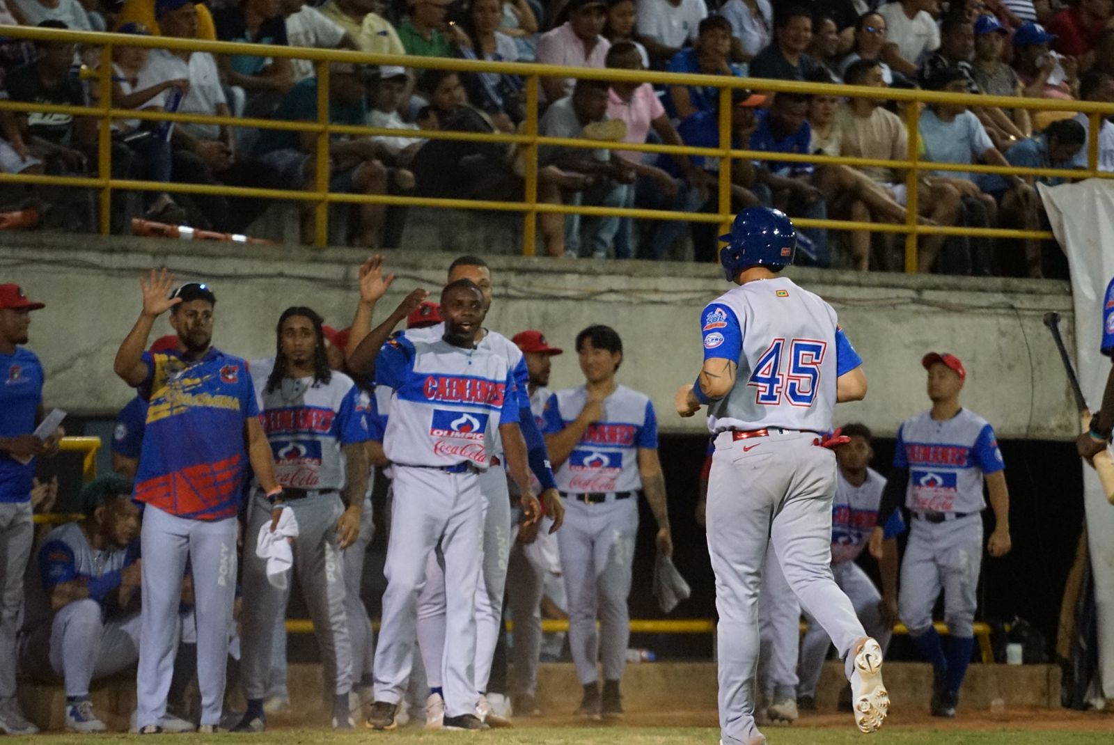 Caimanes sacaron el «carro de leña» en Montería