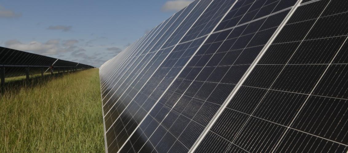 ANLA dio viabilidad al Parque Solar Amanecer, que generará 150 megavatios