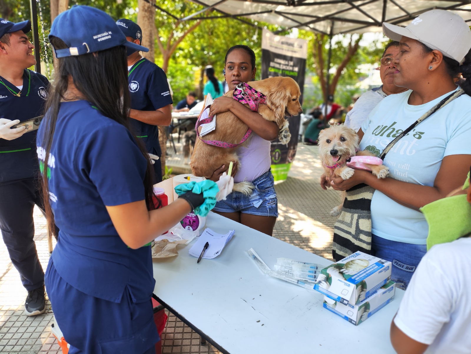 Volvieron las jornadas de bienestar y adopción animal en Barranquilla
