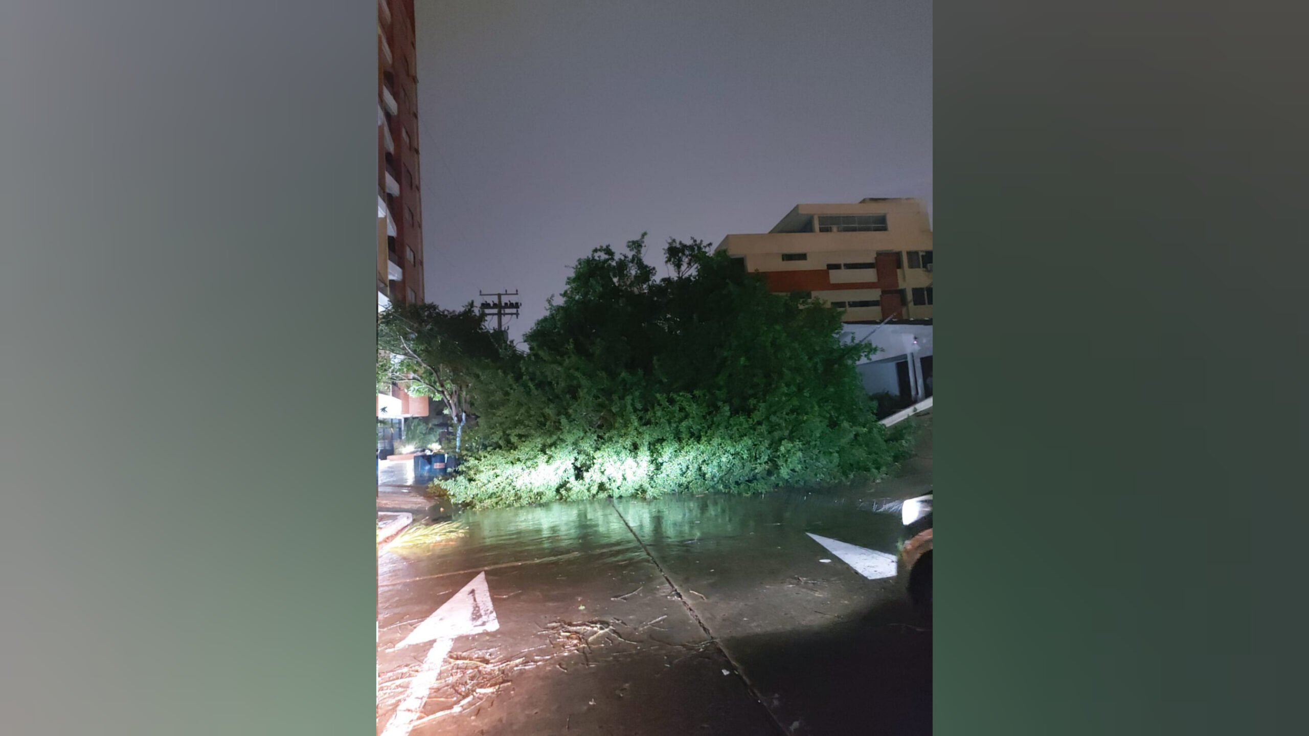 Fuerte vendaval afectó servicio de energía en Barranquilla y varios municipios del Atlántico