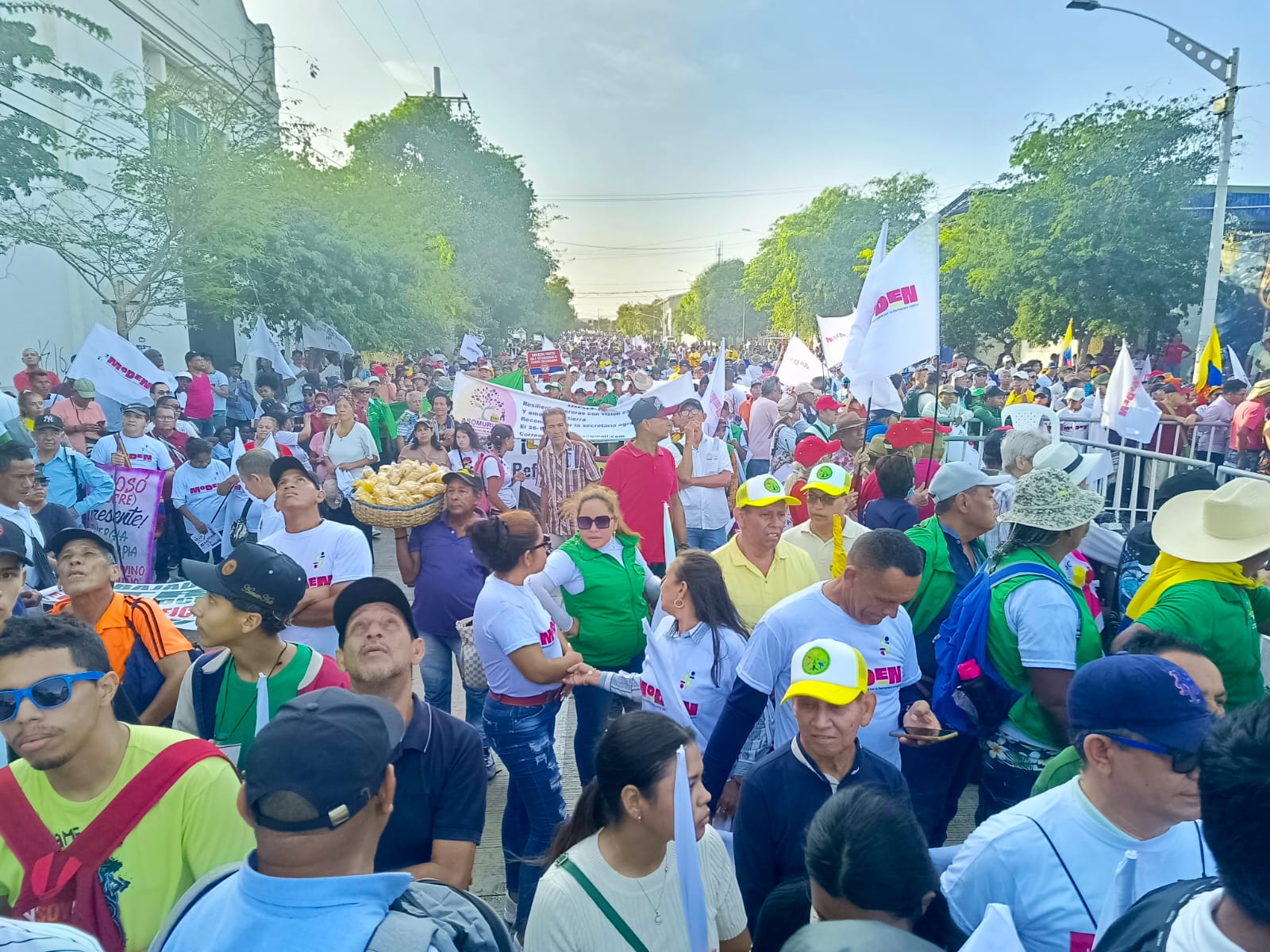 Hay grandes intereses que se han enriquecido con el precio de la energía y políticos que la han utilizado para sus curules: Minminas