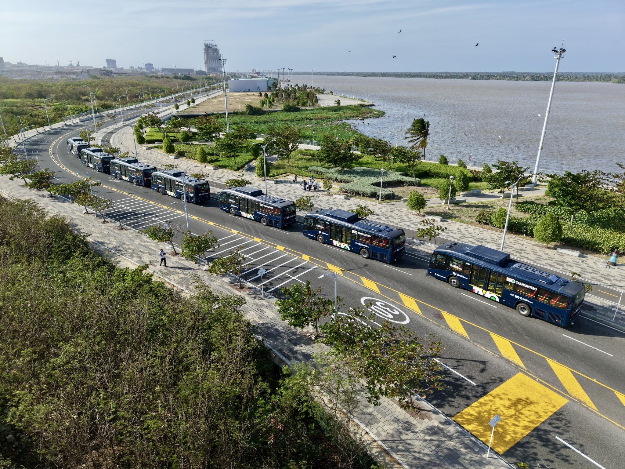 Llegan nuevos buses padrones para el Transmetro