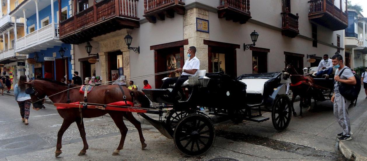 PGN solicitó un informe sobre protección a caballos ‘cocheros’ en Cartagena