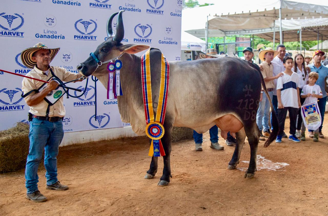 Atlántico, departamento invitado a la Feria Nacional de la Ganadería 2025