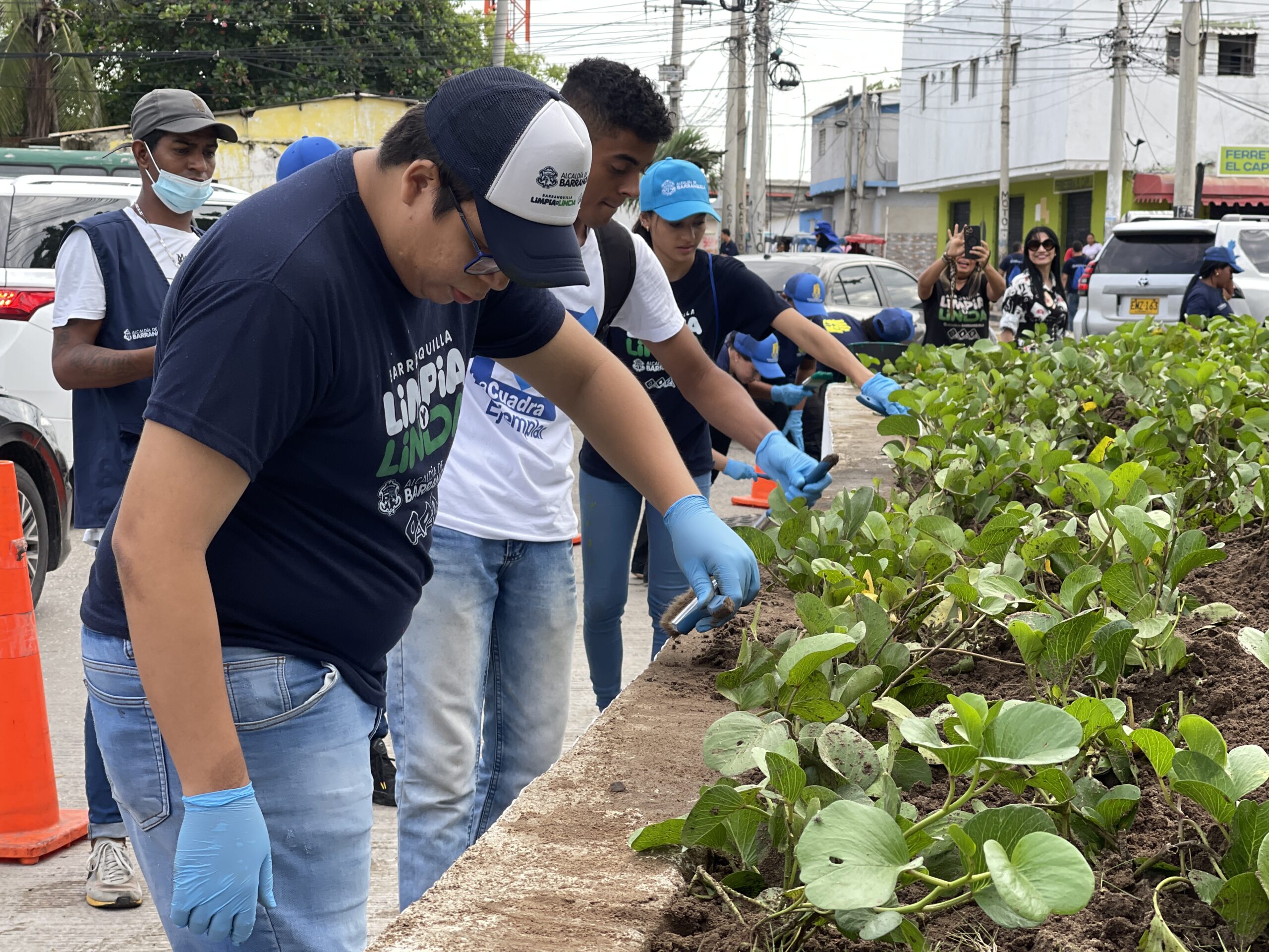 Barranquilla sigue consolidándose como ciudad sostenible: así ha reducido más de 30 mil toneladas anuales de CO2