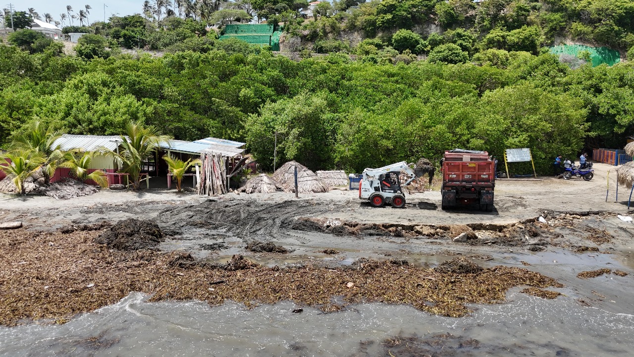 Recolectan más de 30 toneladas de tarulla en Playa Modelo, Salgar