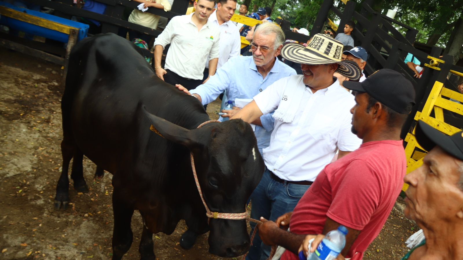 Gobernación del Atlántico y Asoganorte impulsan revolución ganadera con embriones de alta genética