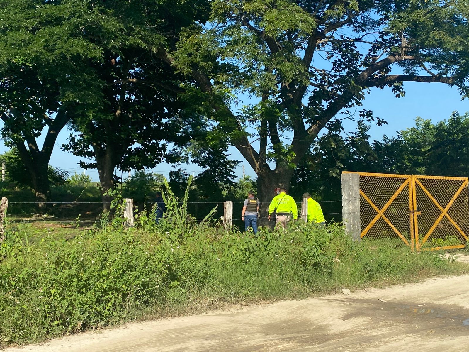 20 piscinas para la cría de peces operaban con luz robada en finca en Zona Bananera
