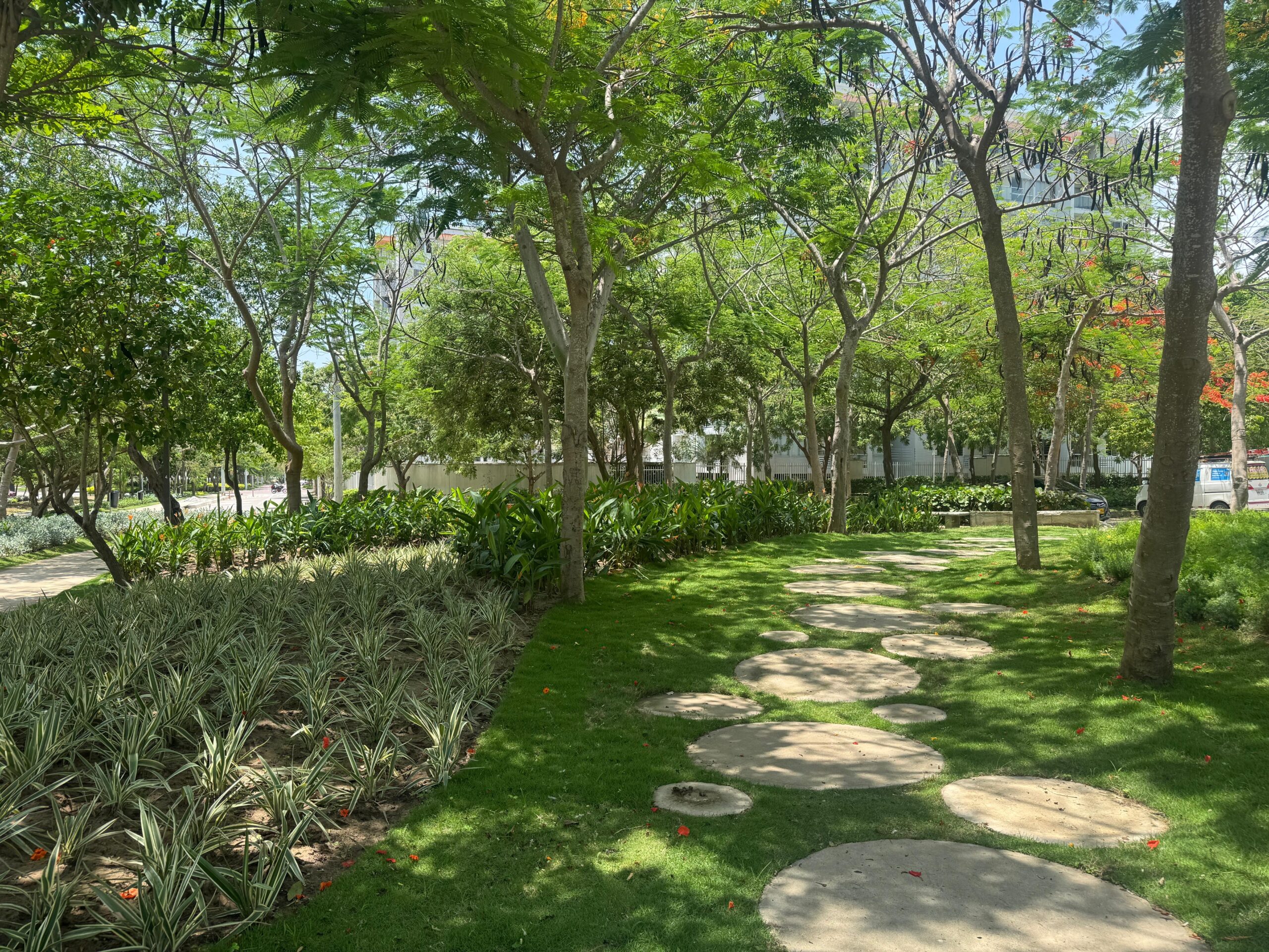 Villa Carolina reverdece con 6.000 m² de paisajismo: el parque Espejo renace como pulmón verde de Barranquilla