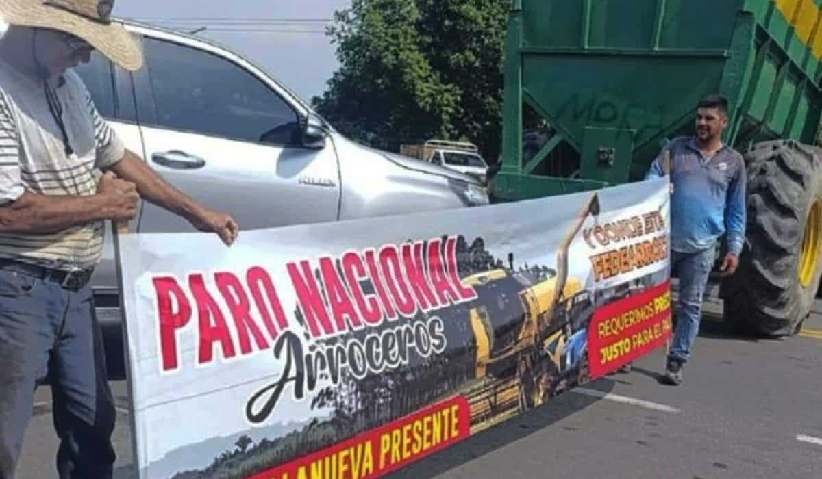 Arroceros anuncian nuevo paro en el país por incumplimientos del Gobierno