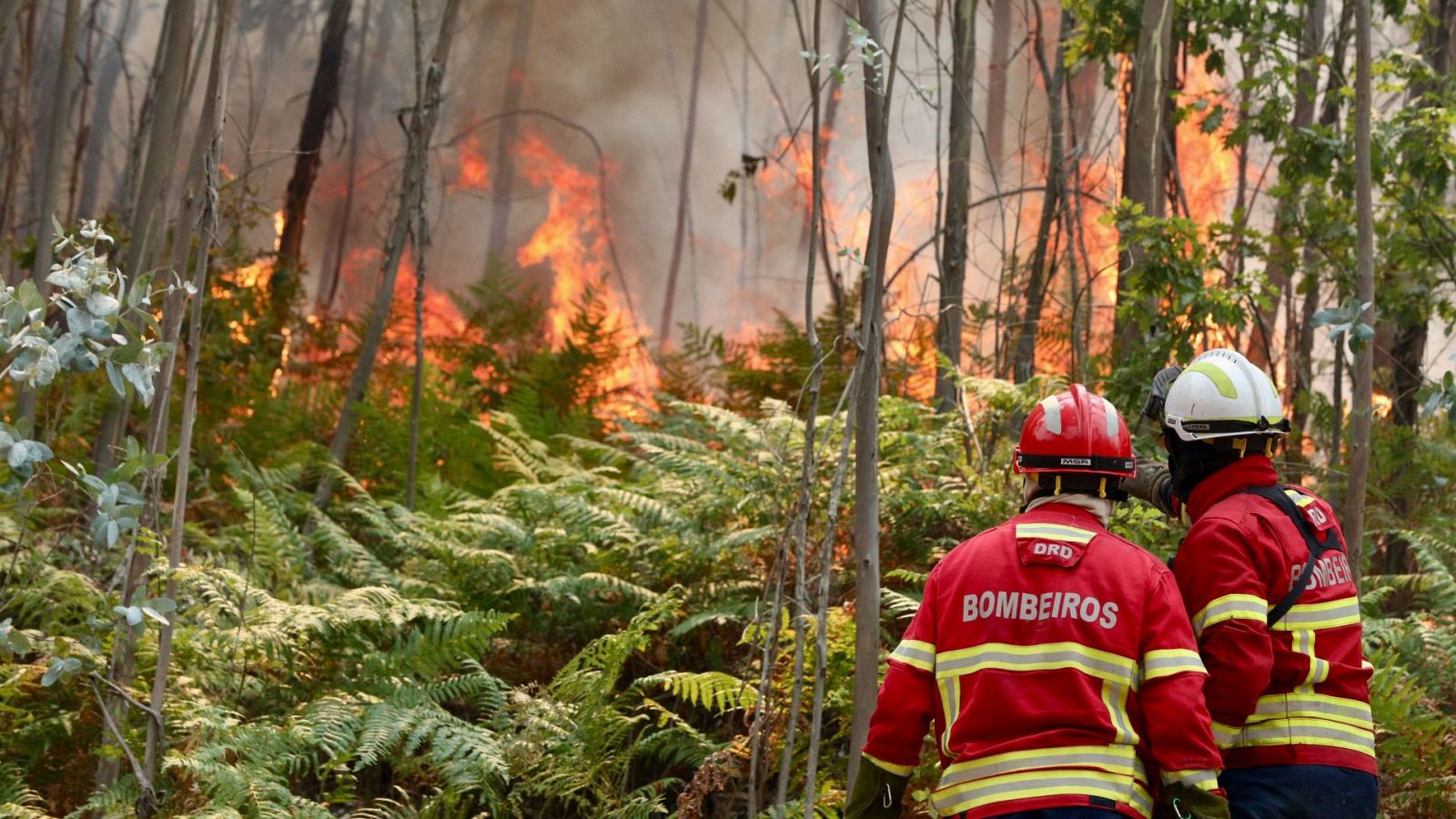 Cuarta etapa de la Vuelta a Portugal fue recortada este domingo a causa de incendios
