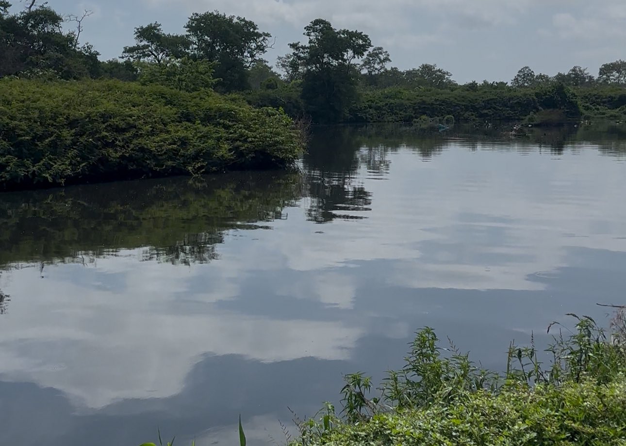 CRA avanza en la recuperación del arroyo León con remoción de sedimentos y trabajo comunitario