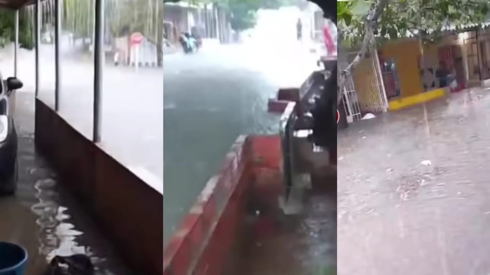 Lluvias provocan desbordamiento de arroyo y afectaciones en Los Olivos