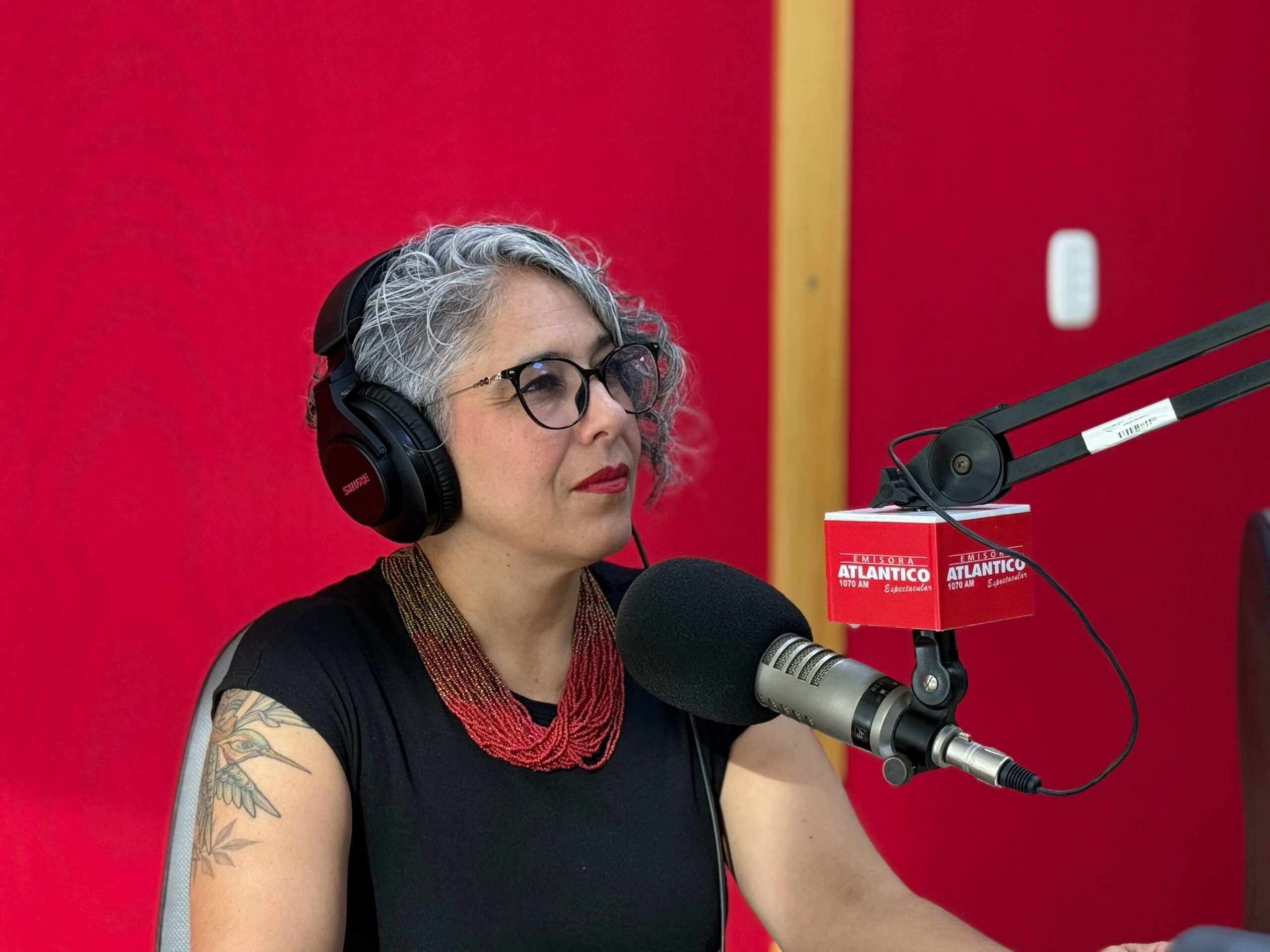 María José Pizarro propone revisar ley de sometimiento a la justicia