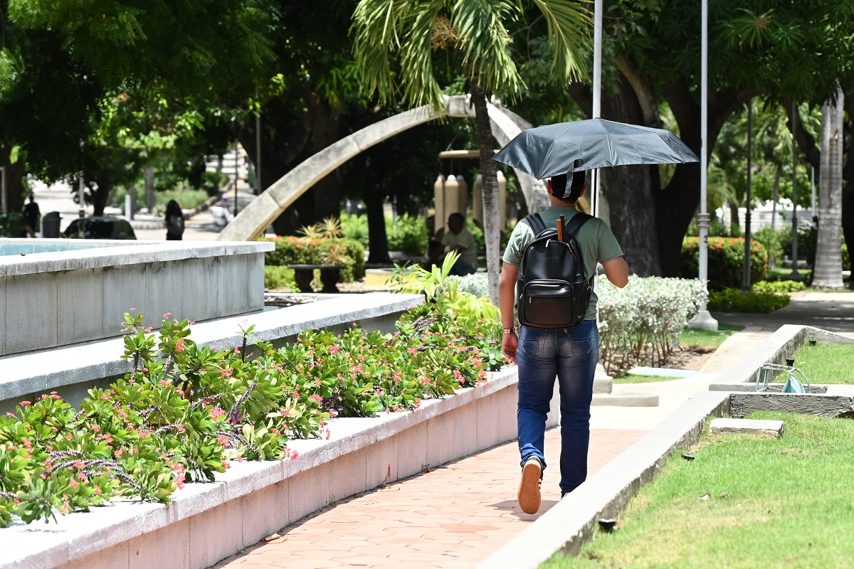 Barranquilla bajo calor extremo: Unisimón propone rutas seguras y sombreadas para caminar