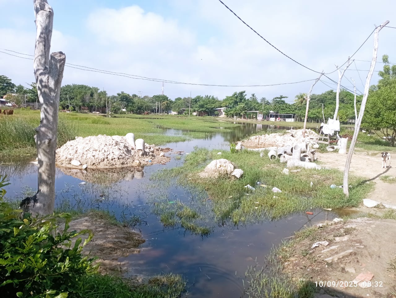 300 familias de un barrio en Santo Tomás alertan de posibles casos de dengue por aguas lluvias represadas