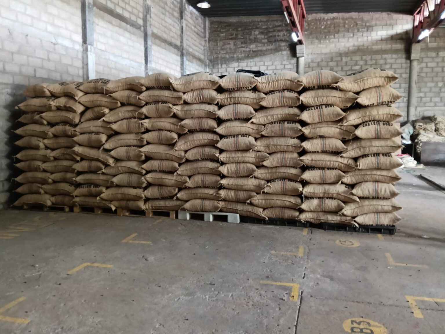 Drummond Ltd. celebra la exportación de 50 toneladas de cacao Premium del departamento del Cesar al Reino Unido