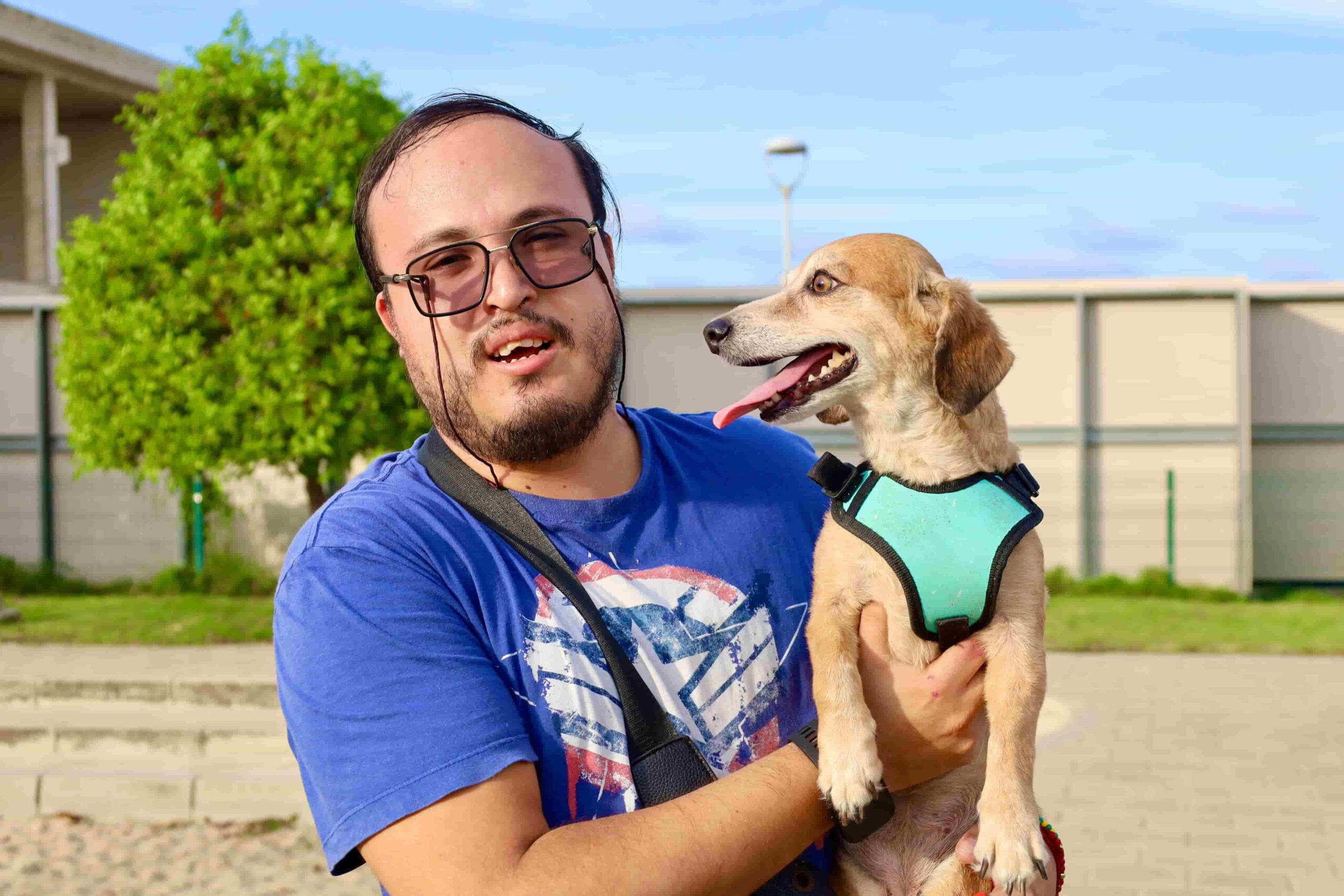 «Si pudiera hablar, te diría gracias»: iniciativa solidaria por los animales en condición de vulnerabilidad