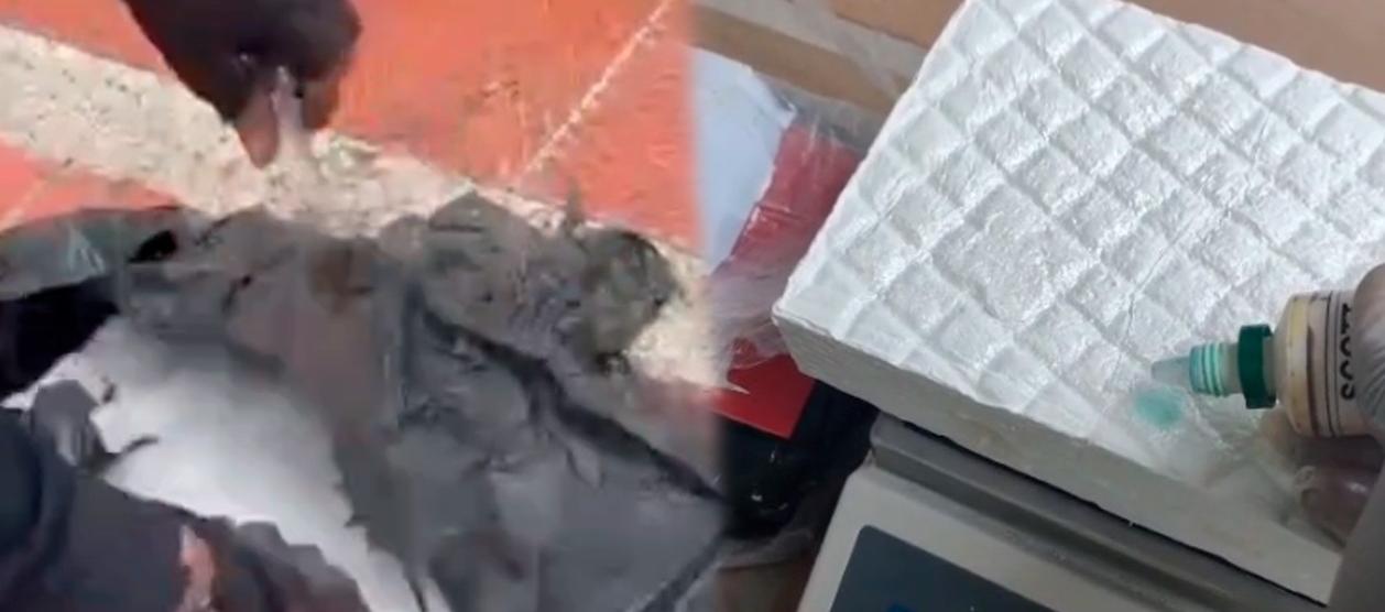 Policía incauta 25 kilos de cocaína en playas de Santa Verónica