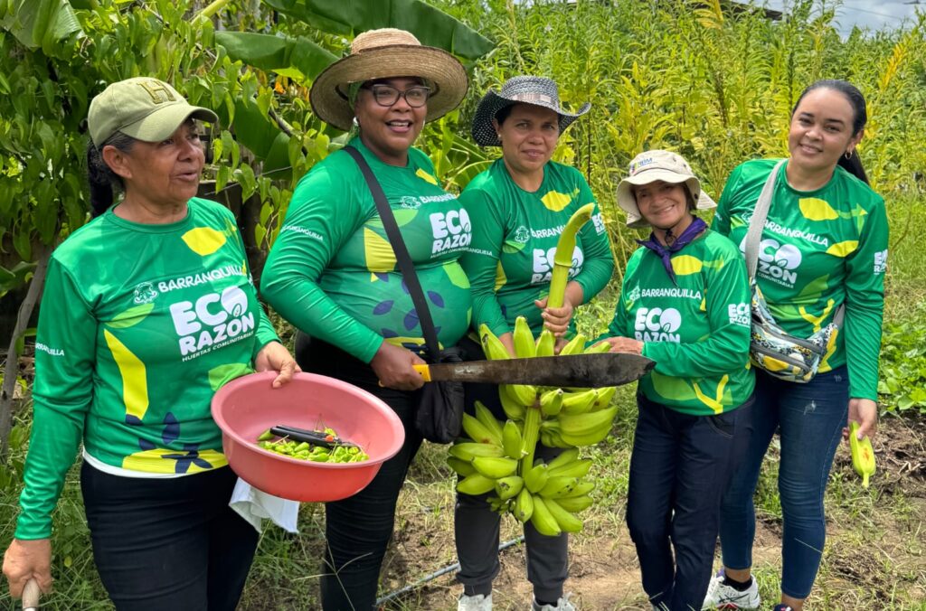 ‘Gran cosechatón’ en Las Gardenias promueve la agricultura urbana y la seguridad alimentaria