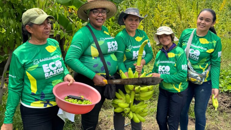 ‘Gran cosechatón’ en Las Gardenias promueve la agricultura urbana y la seguridad alimentaria