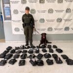 Canino antinarcóticos ‘Gisli’ permitió incautar 21 kilos de marihuana en empresa de envíos en Barranquilla