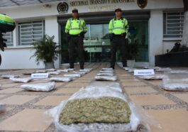 Incautan 24 kilos de marihuana en encomienda en Barranquilla