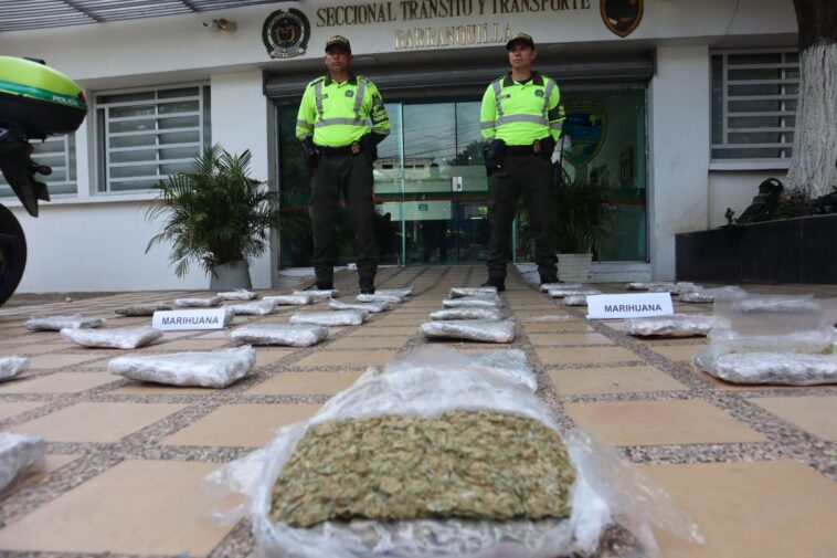 Incautan 24 kilos de marihuana en encomienda en Barranquilla