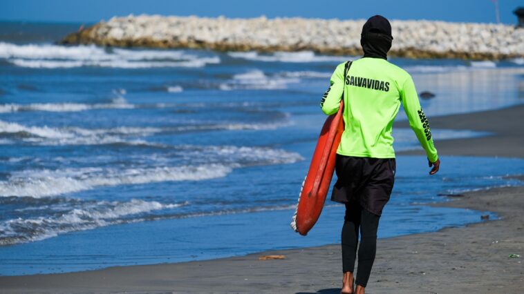 Ordenamiento de playas