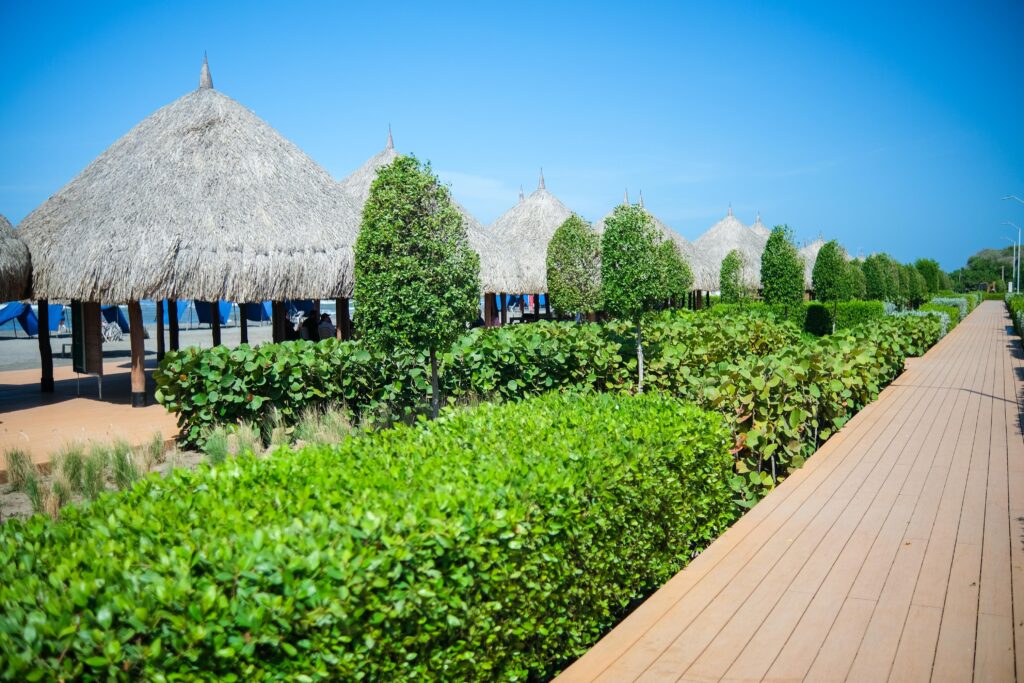 Ordenamiento de playas