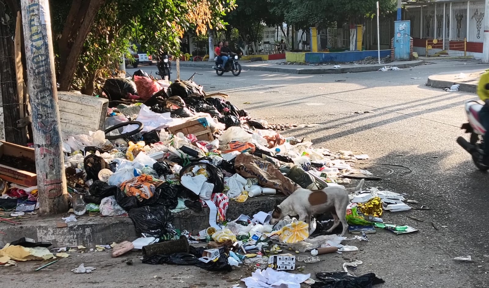 Edumas llama a fortalecer la correcta disposición de residuos sólidos