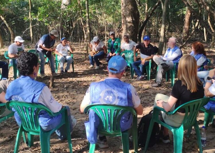 ONU alerta por grave crisis de derechos humanos en la Sierra Nevada de Santa Marta