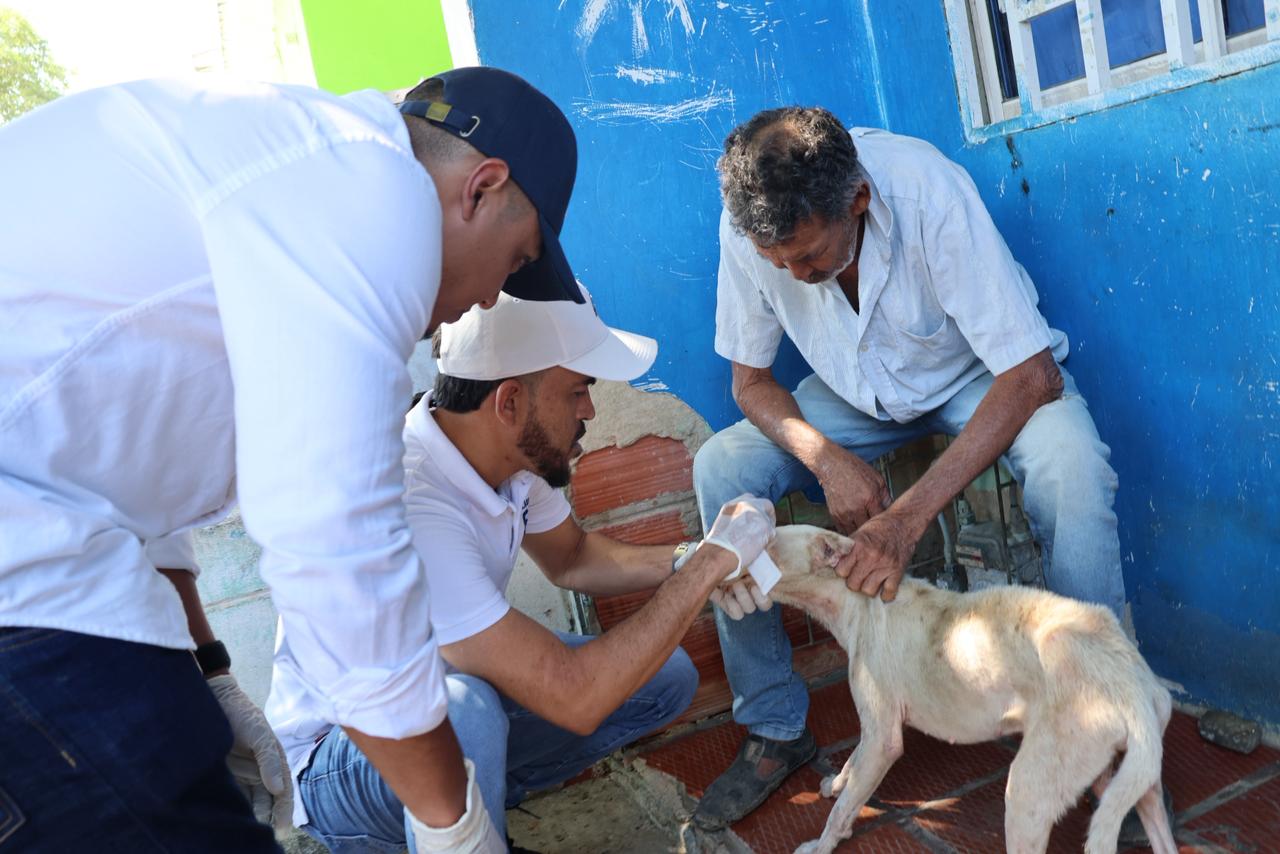 Jornada de bienestar animal confirmó sectores libres de moquillo en Puerto Colombia