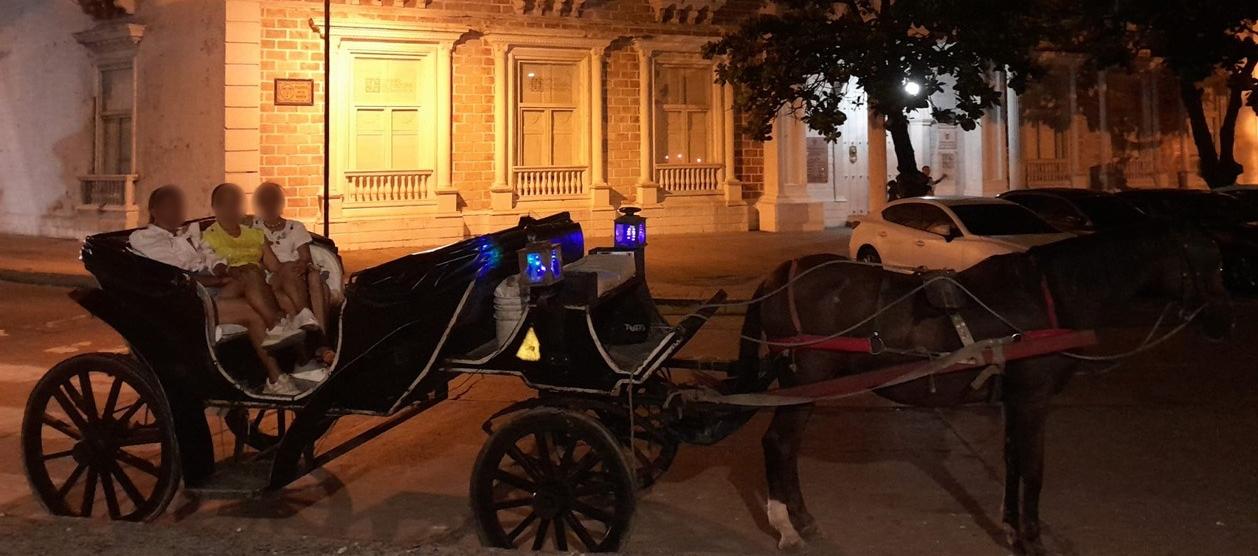 Cartagena prohíbe desde este lunes los vehículos de tracción animal y pone en marcha carrozas eléctricas en el Centro Histórico