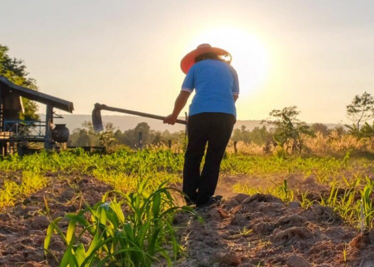 Contraloría alerta riesgos para el crédito agrícola tras nueva norma de la CNCA