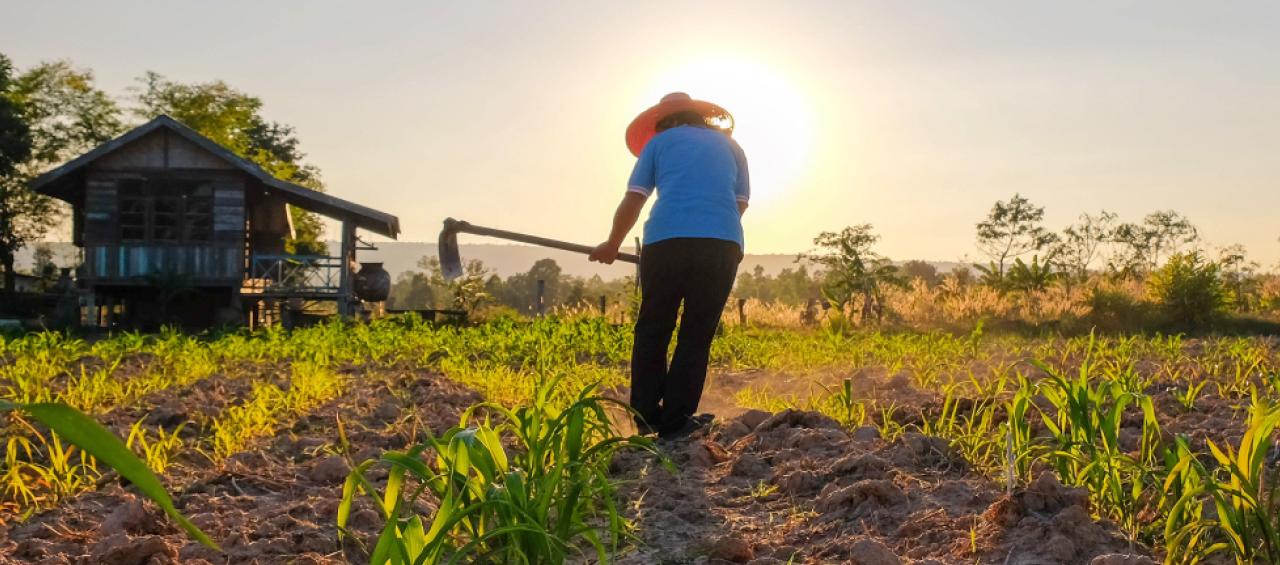 Contraloría alerta riesgos para el crédito agrícola tras nueva norma de la CNCA