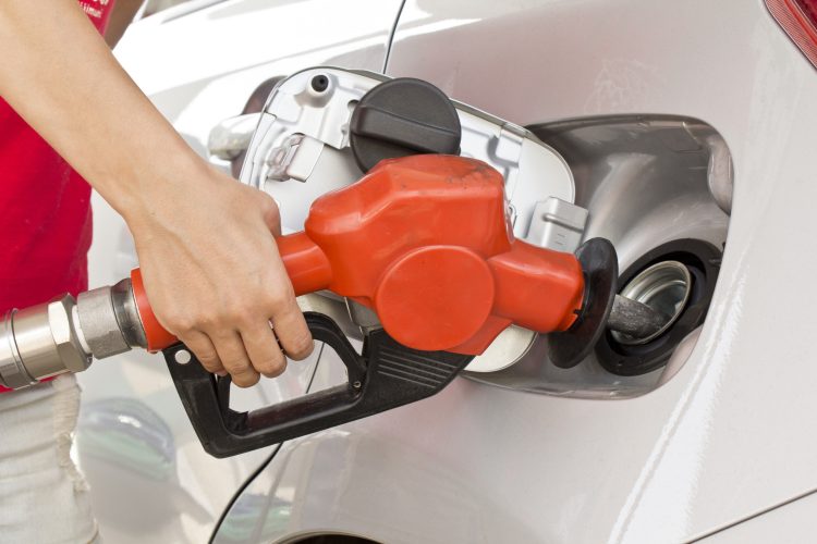 Gasolina