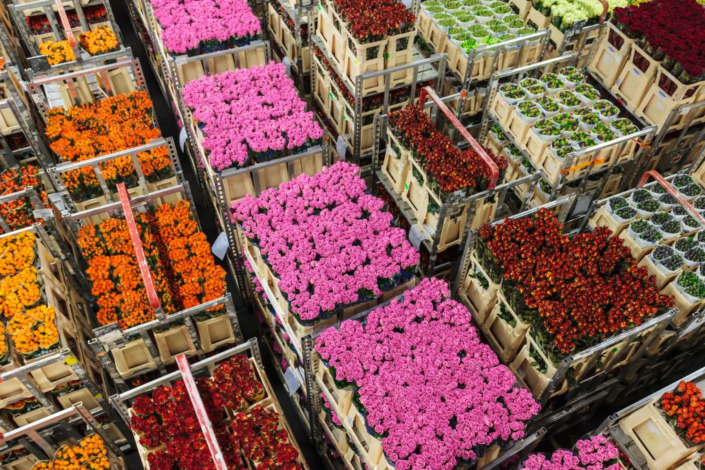 Exportaciones de flores